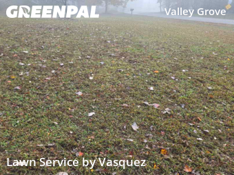 Lawn Cutting nearby White House, TN, 