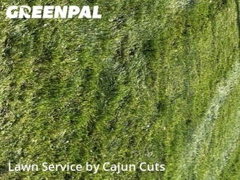 Lawn Maintenance nearby Murfreesboro, TN, 