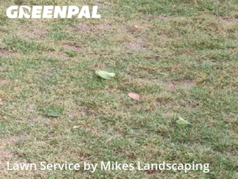 Lawn Service nearby Duarte, CA, 