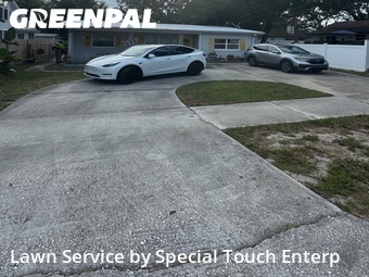 Lawn Care nearby Safety Harbor, FL, 