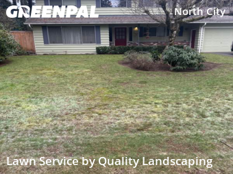 Lawn mowed in Shoreline, 98155