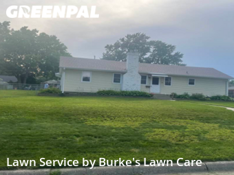 Grass Cut nearby Minneapolis, MN, 