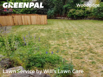 Lawn Care Service nearby Bellevue, WA, 
