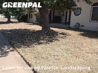 Grass Cut nearby Marysville, CA, 