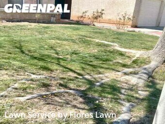 Lawn Cutting nearby Palmdale, CA, 
