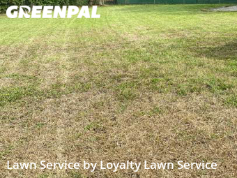 Lawn Cut nearby Fort Pierce, FL, 