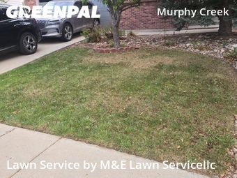Lawn Cutting nearby Aurora, CO, 