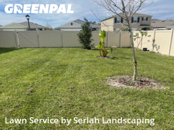 Lawn Cut nearby Ocoee, FL, 