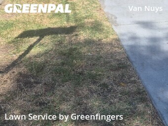 Landscapers In Los Angeles,91411,Landscaping Cleanup by Greenfingers , work completed in Jun , 2026