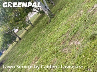 Yard Cutting nearby Riviera Beach, FL, 