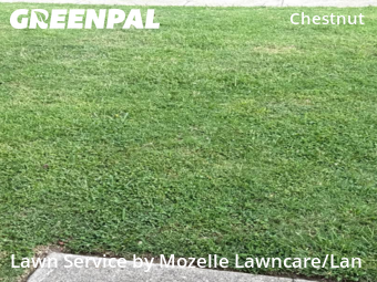 Yard Cutting nearby Newport News, VA, 