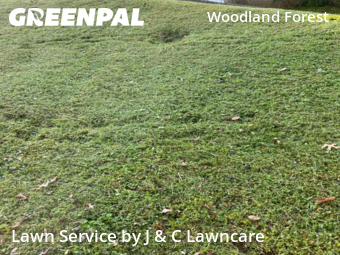Lawn Mowing Service nearby Nashville, TN, 