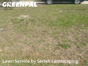 Lawn Mow nearby Orlando, FL, 