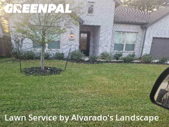 Lawn Maintenancein Porter,77365,Yard Cutting by Alvarado's Landscape, work completed in Nov , 2025