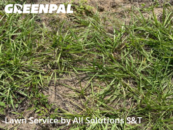 Lawn Mowing nearby Poinciana, FL, 