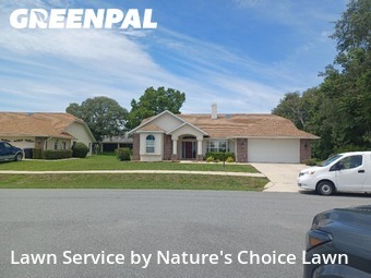 Lawn Cut nearby Beverly Hills, FL, 