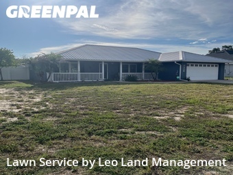 Yard Cutting nearby Lakeland, FL, 