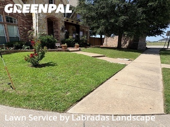 Grass Cut nearby Allen, TX, 