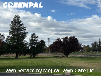 Backyard Landscaping In Elk Grove,95624,Landscaping Installation by Mojica Lawn Care Llc, work completed in Nov , 2025