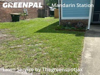 Lawn Mow nearby Jacksonville, FL, 