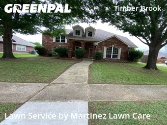 Lawn Mow nearby Plano, TX, 