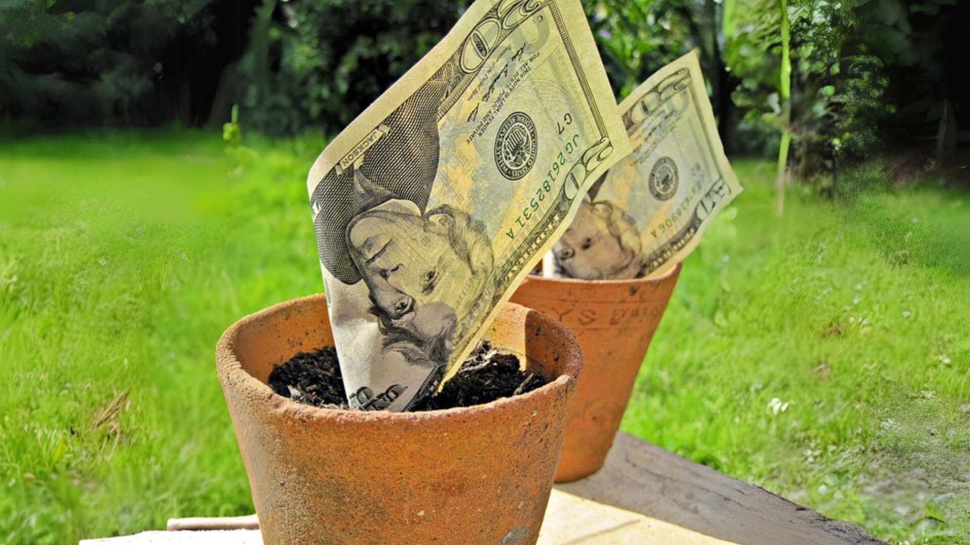 How can you save money on lawn care?