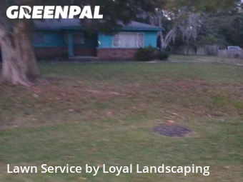 Lawn Cut nearby Moncks Corner, GA, 