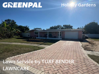 Grass Care in Holiday, 34690, Yard Management by TURF BENDER LAWNCARE, work completed in Nov , 2025