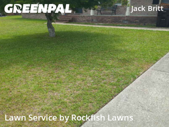 Yard Cutting nearby Fayetteville, NC, 