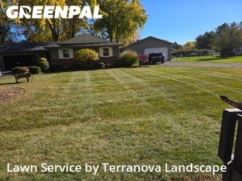 Turf Services in Bristol, 60512, Yard Upkeep by Terranova Landscape, work completed in Nov , 2025