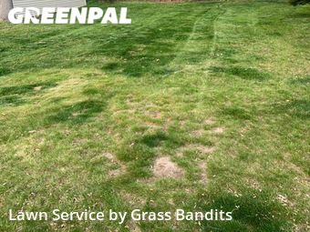 Lawn Mowing Service nearby Billings, MT, 