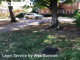 Lawn Care Service nearby Nashville, TN, 