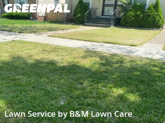 Lawn Care in Dolton, 60419, Yard Upkeep by B&M Lawn Care, work completed in Nov , 2025