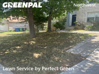 Grass Cut nearby San Antonio, TX, 