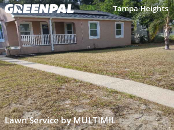 Grass Cut nearby Tampa, FL, 