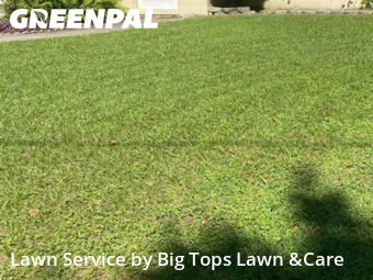 Lawn Cuttingin Altamonte Springs,32714,Lawn Mowing by Big Tops Lawn &Care, work completed in Nov , 2025