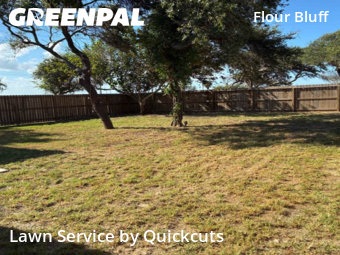 Lawn Carein Corpus Christi,78418,Grass Cutting by Quickcuts , work completed in Nov , 2025