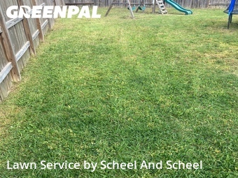 Lawn Cut nearby Houston, TX, 