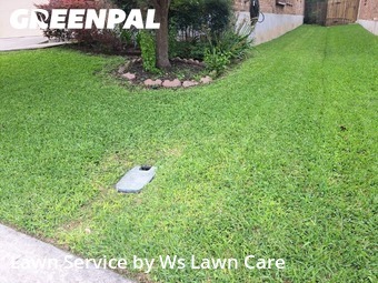 Grass Cutin Schertz,78108,Grass Cutting by Ws Lawn Care, work completed in Jun , 2026