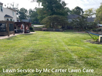Lawn Mowing nearby Taylors, SC, 