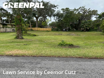 Grass Cutting nearby Daytona Beach, FL, 