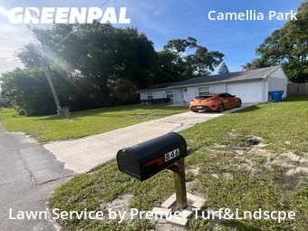 Grass Cut nearby Orange City, FL, 