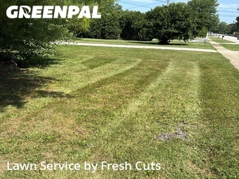 Lawn mowed in Painesville, 44077