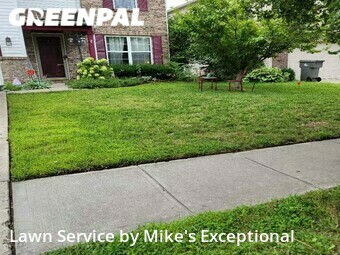 Grass Cutting nearby Indianapolis, IN, 