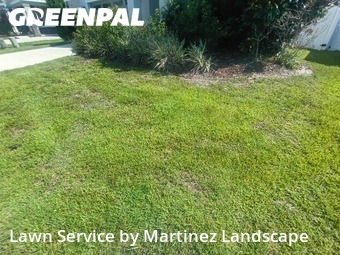 Lawn Maintenance nearby Okahumpka, FL, 