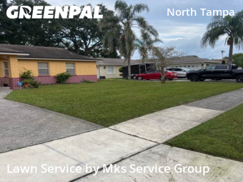 Weed Trimming in Lake Magdalene, 33618, Lawn Care by Mks Service Group, work completed in Dec , 2025