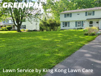 Yard Mowing nearby Rochester, NY, 