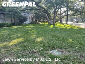 Lawn Mowingin Alamo Heights,78209,Lawn Cut by M.Q.L.C. Llc., work completed in Dec , 2025