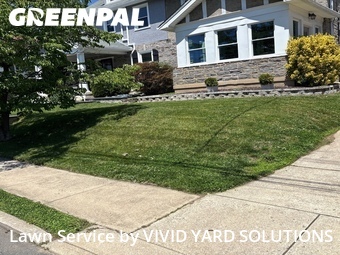 Lawn Mow nearby Drexel Hill, PA, 
