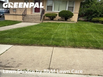 Lawn Mow nearby South Holland, IL, 